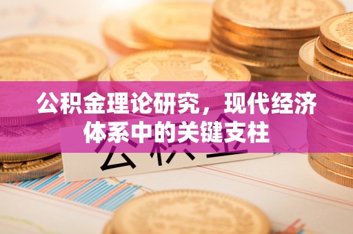 济阳公积金理论研究，现代经济体系中的关键支柱