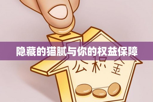 济阳隐藏的猫腻与你的权益保障