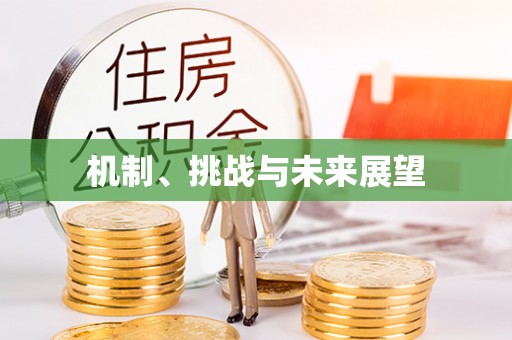 济阳机制、挑战与未来展望